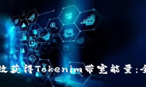 如何有效获得Tokenim带宽能量：全面指南