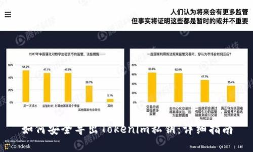 如何安全导出Tokenim私钥：详细指南