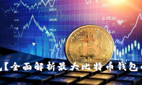 什么是比特币钱包？全面解析最大比特币钱包的使用与安全策略