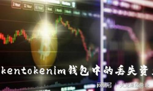 如何找回Tokentokenim钱包中的丢失资产：详细指南