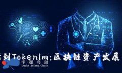 从交易所到Tokenim：区块链