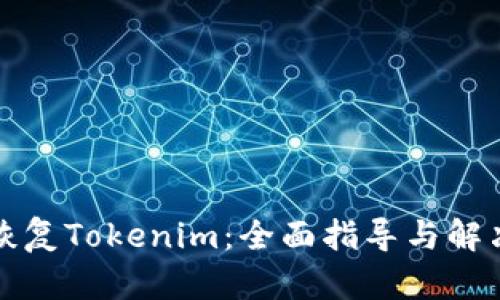 如何恢复Tokenim：全面指导与解决方案