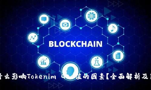 是什么影响Tokenim Gas值的因素？全面解析及策略