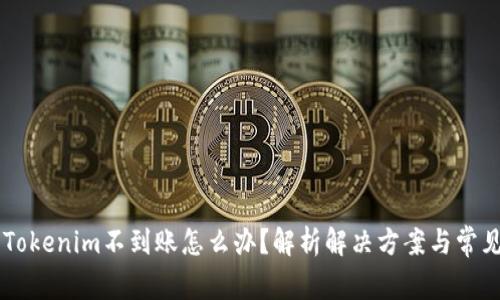 币转Tokenim不到账怎么办？解析解决方案与常见问题