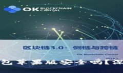 Tokentokenim 钱包苹果版安全吗？深度解析与用户指