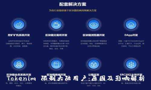 Tokenim 限制大陆用户：原因及影响解析