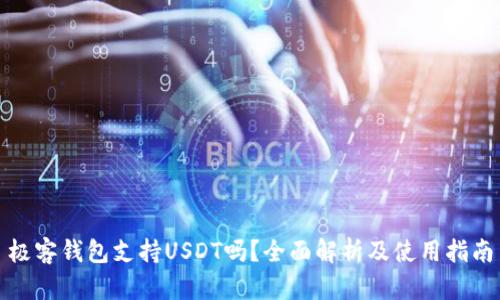 极客钱包支持USDT吗？全面解析及使用指南