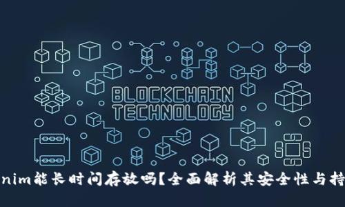 Tokenim能长时间存放吗？全面解析其安全性与持久性