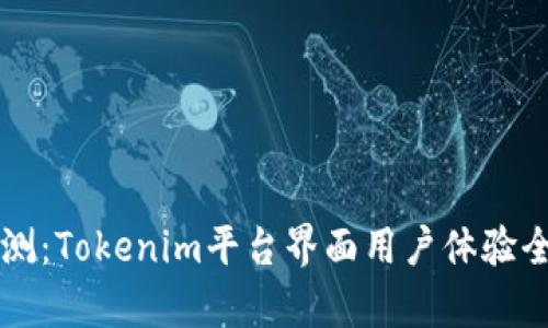 深入评测：Tokenim平台界面用户体验全面分析