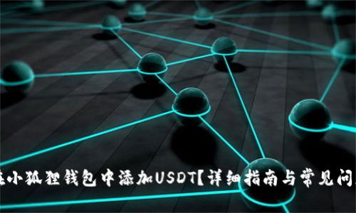 如何在小狐狸钱包中添加USDT？详细指南与常见问题解析