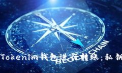 如何安全使用Tokenim钱包进行转账：私钥的重要性