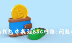 如何在Tokenim钱包中找到BSC网络：问题解决与使用