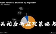 TokenIm关闭后的应对策略与