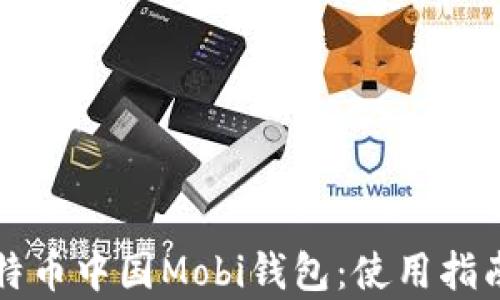 
深入探讨比特币中国Mobi钱包：使用指南与风险分析