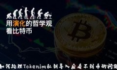 如何处理Tokenim私钥导入后看不到币的问题