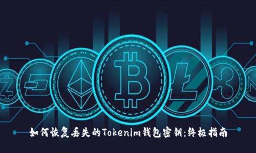 如何恢复丢失的Tokenim钱包密钥：终极指南