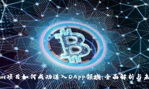 Tokenim项目如何成功进入DApp领域：全面解析与未来展望