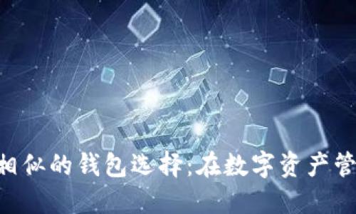 探索与Tokenim相似的钱包选择：在数字资产管理中的新可能性