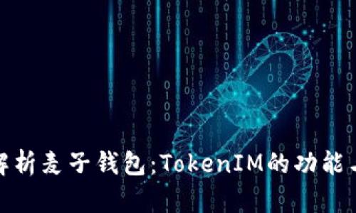 全面解析麦子钱包：TokenIM的功能与优势