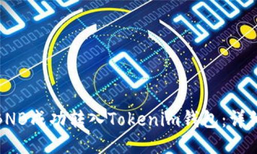 : 如何将BNB成功转入Tokenim钱包：详细操作指南