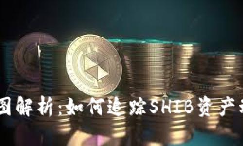 SHIB钱包变化图解析：如何追踪SHIB资产动态及风险管理