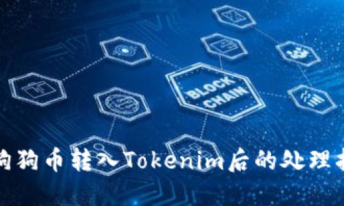 : 狗狗币转入Tokenim后的处理指南