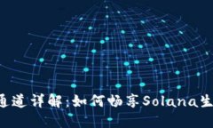 小狐狸钱包SOL通道详解：如何畅享Solana生态的便