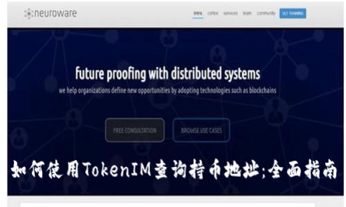 如何使用TokenIM查询持币地址：全面指南