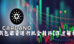 比特币钱包能否进行现金转移？深度解析与指南