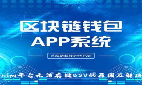 Tokenim平台无法存储BSV的原因及解决方案