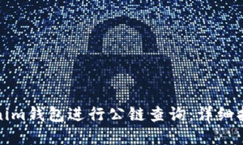 如何使用Tokenim钱包进行公链查询：详细指南与实用技巧