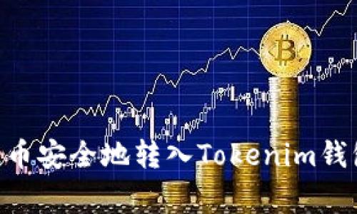 如何将Doge币安全地转入Tokenim钱包？完整指南