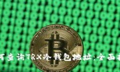 如何查询TRX冷钱包地址：全面指南