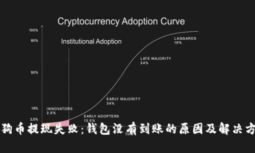 狗狗币提现失败：钱包没有到账的原因及解决方案