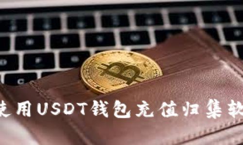 如何选择和使用USDT钱包充值归集软件：全面指南