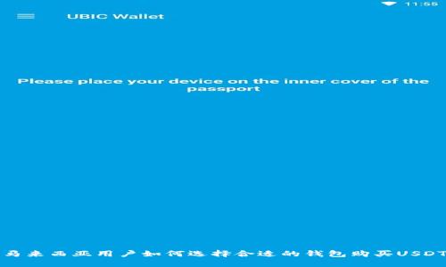 马来西亚用户如何选择合适的钱包购买USDT