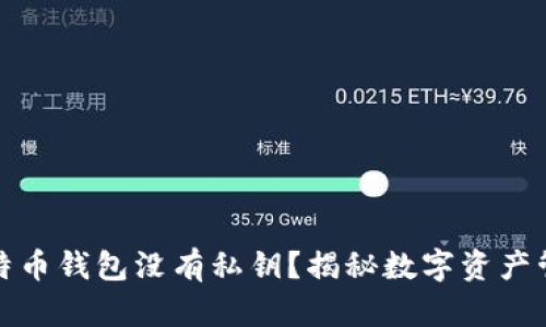 TP钱包比特币钱包没有私钥？揭秘数字资产管理新机制