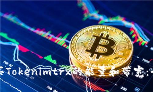 如何购买Tokenimtrx的能量和带宽：全面指南