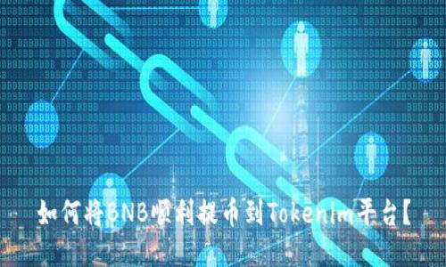 如何将BNB顺利提币到Tokenim平台？