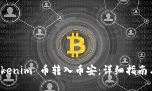 如何将 Tokenim 币转入币安：详细指南与实用技巧