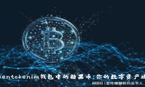 Tokentokenim钱包中的糖果币：你的数字资产攻略