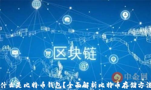 
什么是比特币钱包？全面解析比特币存储方法