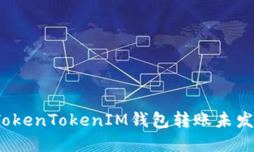 如何解决TokenTokenIM钱包转账未发送的问题？