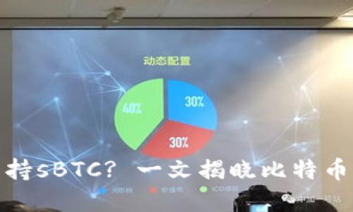 比特币钱包是否支持sBTC? 一文揭晓比特币钱包与sBTC的关系