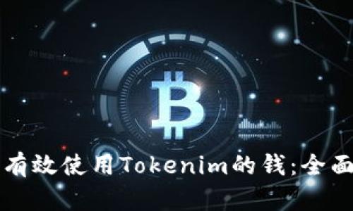 如何有效使用Tokenim的钱：全面指南