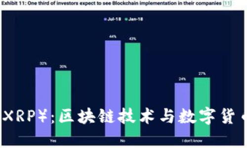 瑞波币（XRP）：区块链技术与数字货币的未来