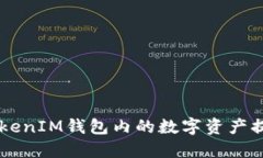 如何将TokenTokenIM钱包内的