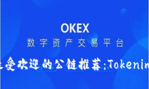 ### 2023年最受欢迎的公链推荐：Tokenim用户的终极指南