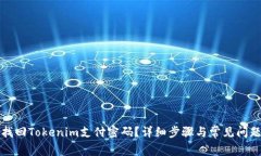 如何找回Tokenim支付密码？详细步骤与常见问题解