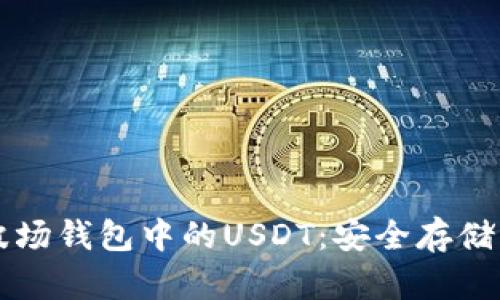 深入了解波场钱包中的USDT：安全存储与交易指南